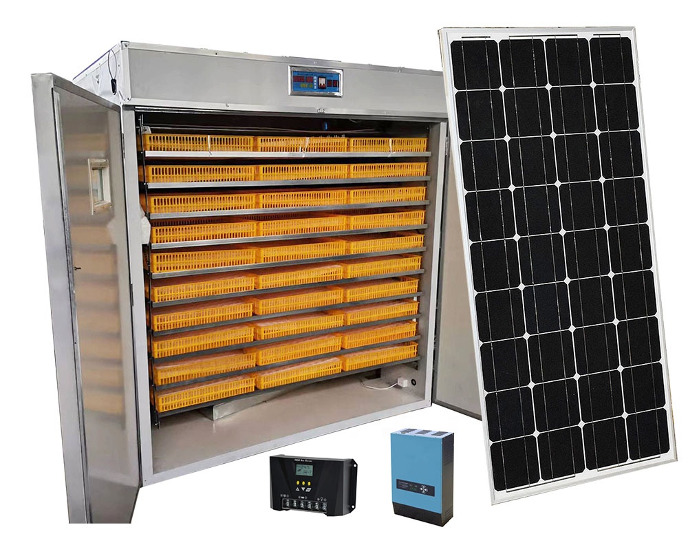 5000 Eggs   Machines for Small - огляд і ціна Lab Incubator