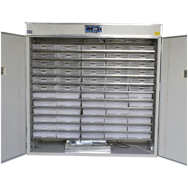 5000 Eggs   Machines for Small - огляд і ціна Lab Incubator