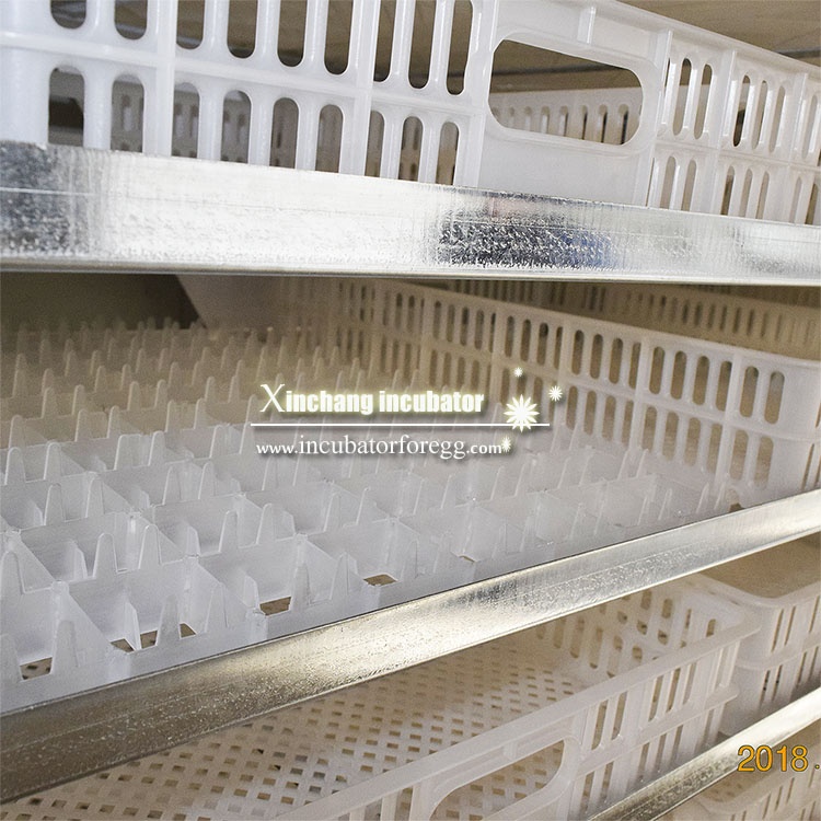 5000 Eggs   Machines for Small - огляд і ціна Lab Incubator